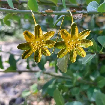 Za New Golden Flower Auskarai Moterų Kūrybinė Asmenybė Lydinio Auskarai Papuošalai