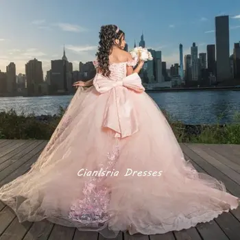 Rožinė 3D Gėlės Lankas Princesė Quinceanera Suknelę Kamuolys Gwon nuo Peties Gėlių Appliques Nėrinių Saldus 15 Vestidos De XV Anos